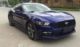 野马视频,探寻狂野之美，捕捉自然瞬间