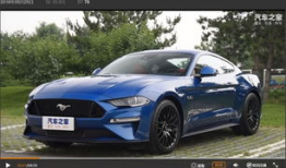 野马视频,探寻狂野之美，捕捉自然瞬间